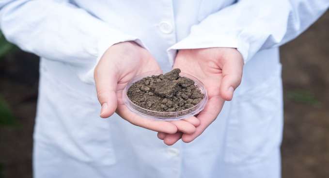 Essential Soil Characteristics